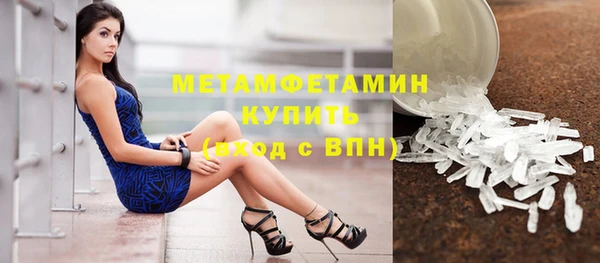 трава Гусиноозёрск