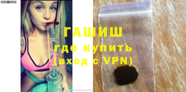 гидра Гусев