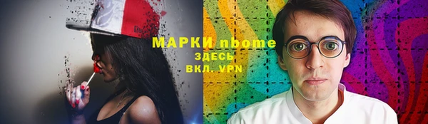 ГАЛЛЮЦИНОГЕННЫЕ ГРИБЫ Гусь-Хрустальный