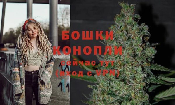 ГАЛЛЮЦИНОГЕННЫЕ ГРИБЫ Гусь-Хрустальный