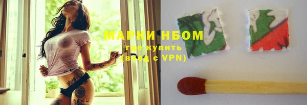 ГАЛЛЮЦИНОГЕННЫЕ ГРИБЫ Гусь-Хрустальный