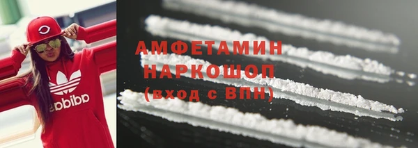 гидра Гусев