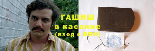 гидра Гусев