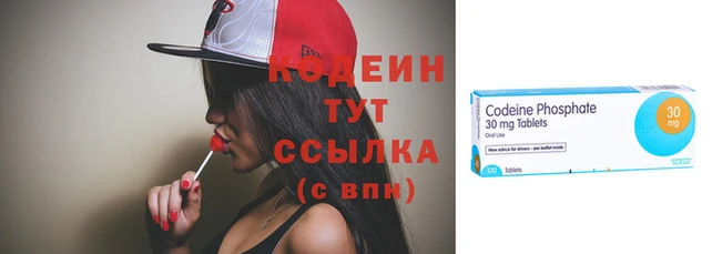 ГАЛЛЮЦИНОГЕННЫЕ ГРИБЫ Гусь-Хрустальный
