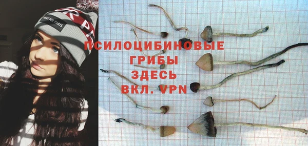 гидра Гусев