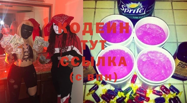 ГАЛЛЮЦИНОГЕННЫЕ ГРИБЫ Гусь-Хрустальный