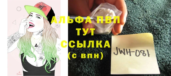 гидра Гусев