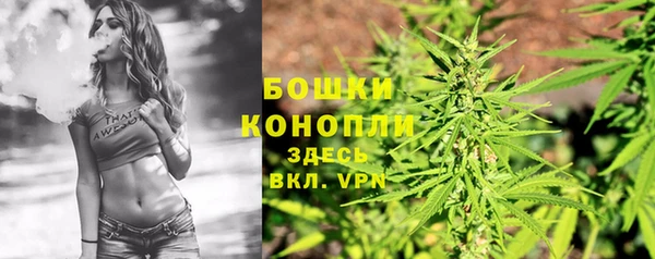 ГАЛЛЮЦИНОГЕННЫЕ ГРИБЫ Гусь-Хрустальный