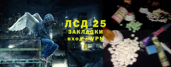 гидра Гусев