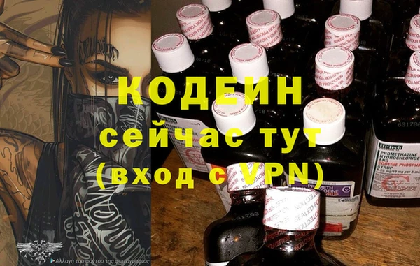 ГАЛЛЮЦИНОГЕННЫЕ ГРИБЫ Гусь-Хрустальный