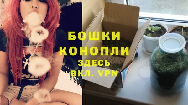 ГАЛЛЮЦИНОГЕННЫЕ ГРИБЫ Гусь-Хрустальный