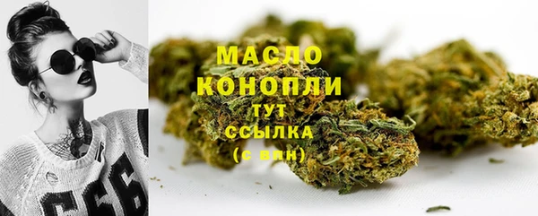 гидра Гусев