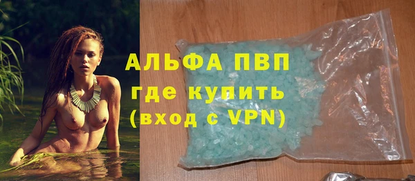 трава Гусиноозёрск
