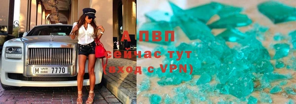 ГАЛЛЮЦИНОГЕННЫЕ ГРИБЫ Гусь-Хрустальный