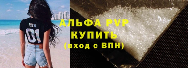 трава Гусиноозёрск