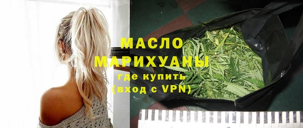 гидра Гусев