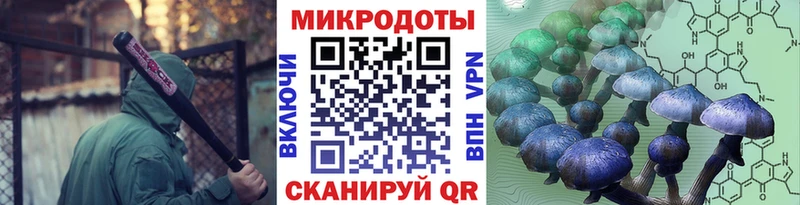 Галлюциногенные грибы мухоморы  Осинники 